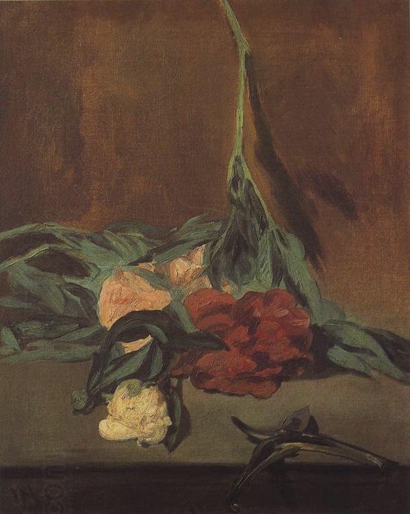 Edouard Manet Vase of Peonise on a Pedestal (mk40)